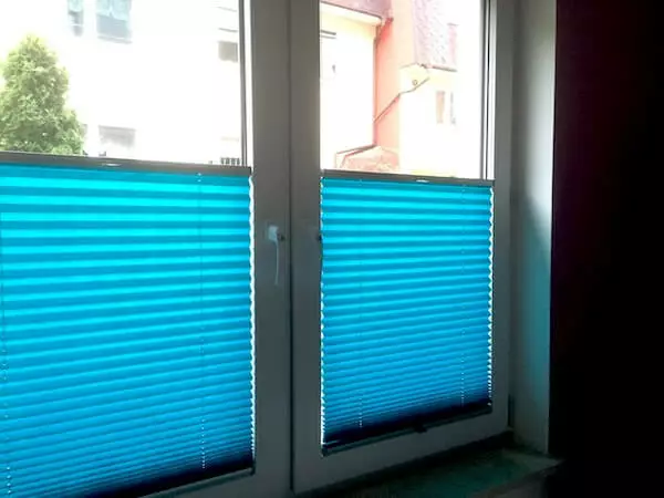 Plisy Warszawa