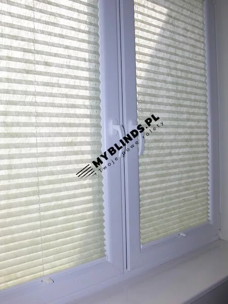 Plisy Łochów